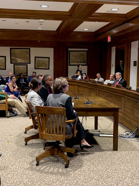 Parity on Board Coalition Advocates at the State House